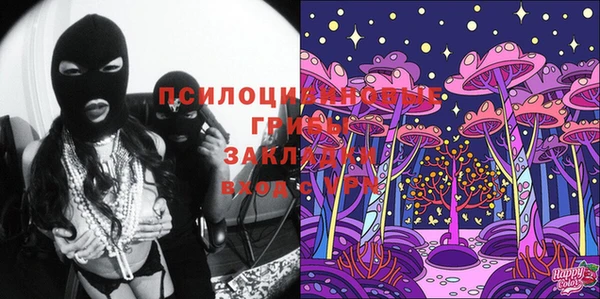 прущие грибы Горнозаводск