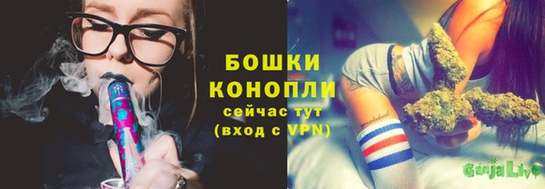 прущие грибы Горнозаводск