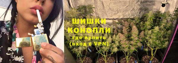 прущие грибы Горнозаводск