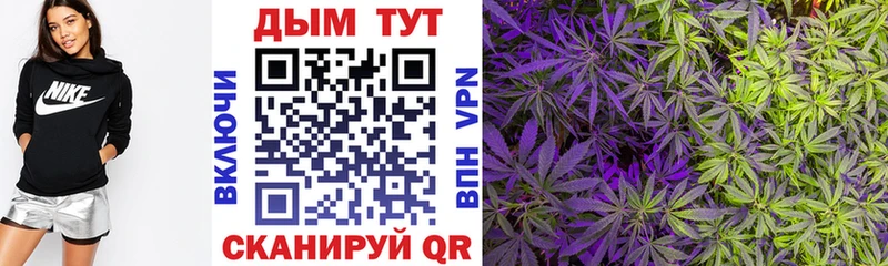 Купить  Конаково  Каннабис MAZAR 